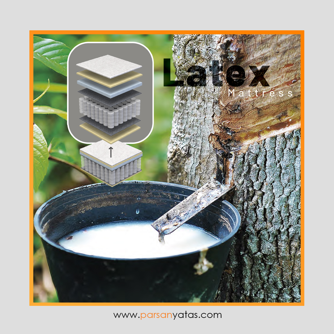 LATEX تصویر