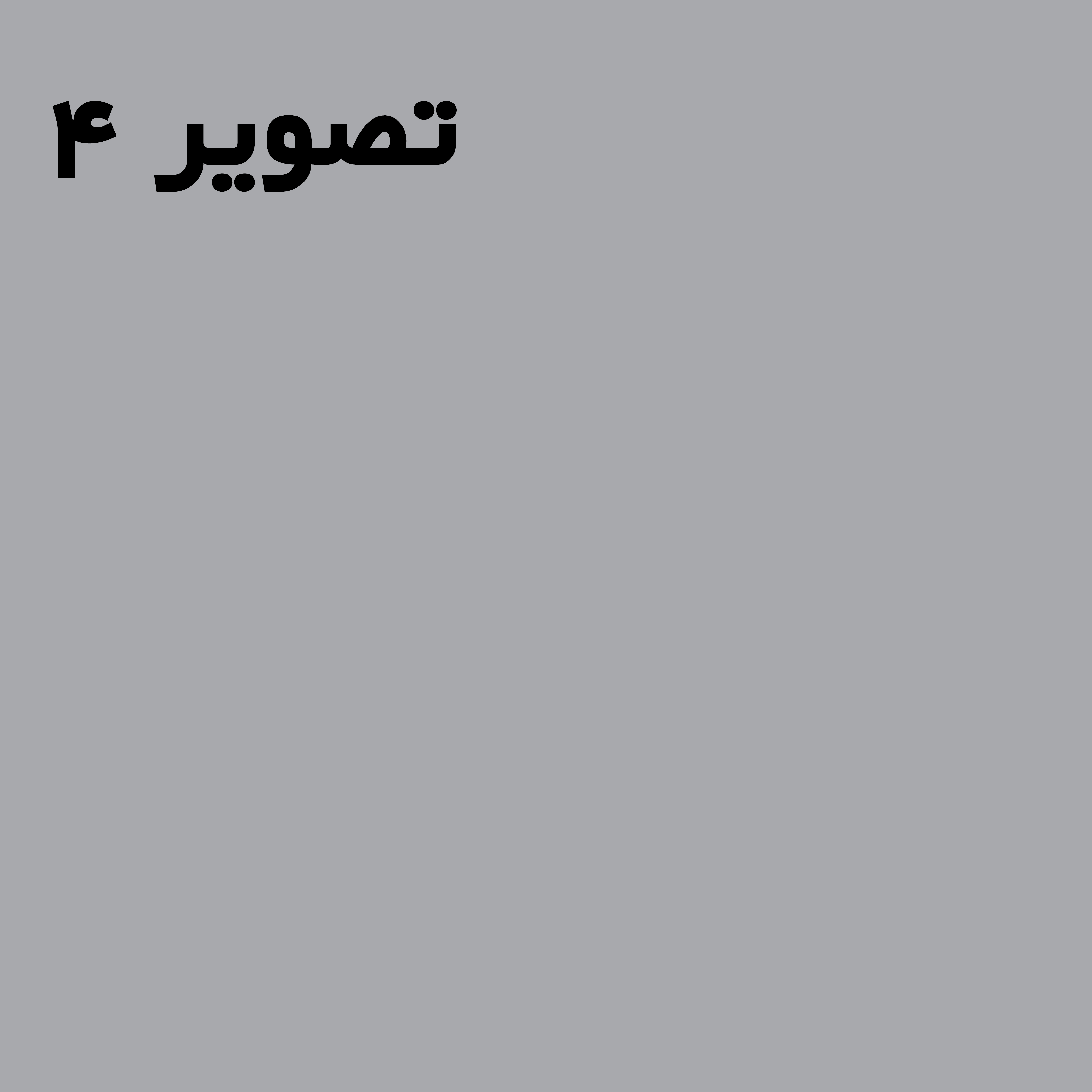 تصویر کوچک 3